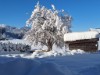 Bild 19