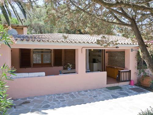 Semesterhus/Semesterlägenhet - 4 personer -  - Li Funtaneddi - 07021 - Porto Cervo