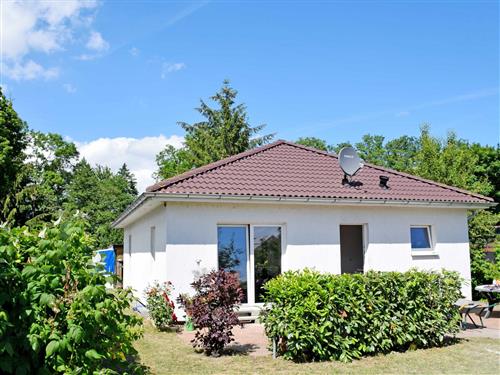 Ferienwohnung - 5 Personen -  - Falkenhagen 5b (Postanschrift Falkenhagen - 18519 - Sundhagen