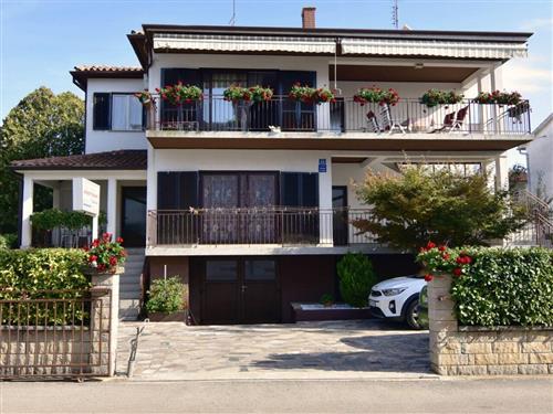 Ferielejlighed - 4 personer -  - Ul. Angela Medice - 52470 - Umag