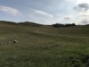 Billede 29