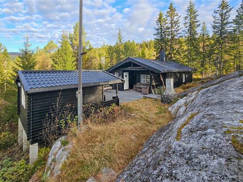 Sommerhus - 9 personer -  - Tempelsetervegen - Tempelseter/Eggedal - 3359 - Eggedal