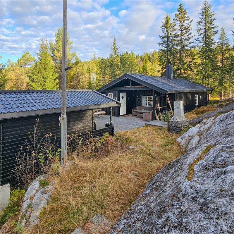 Sommerhus - 9 personer -  - Tempelsetervegen - Tempelseter/Eggedal - 3359 - Eggedal