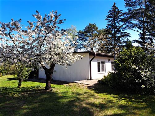 Ferienhaus - 2 Personen -  - Altwarp - 17375