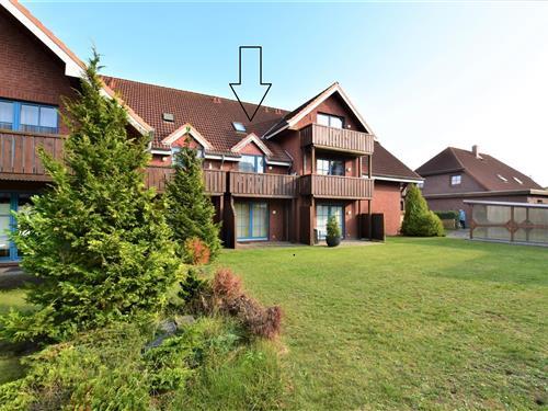 Ferieleilighet - 2 personer -  - An der Aue - 23747 - Dahme