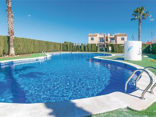 Ferielejlighed - 4 personer -  - C/Chiva - 03184 - Torrevieja