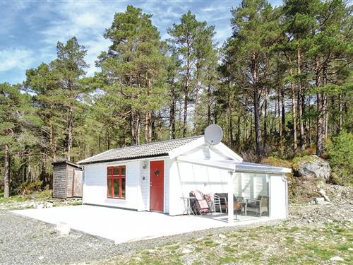 Ferienhaus - 4 Personen -  - Giljastølen - Giljastølen - 4335 - Dirdal