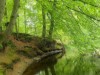 Bild 19