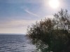 Billede 17