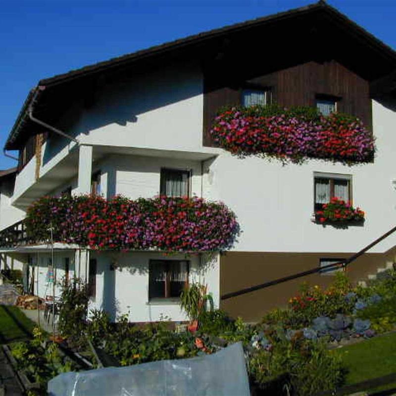 Ferielejlighed - 3 personer -  - Dorf - 6933 - Doren