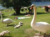 Bild 28