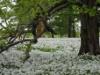 Bild 19