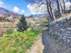 Bild 31 - Ude