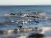 Bild 18