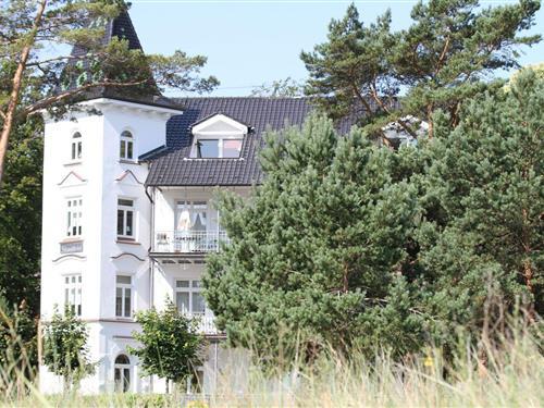 Feriehus / leilighet - 2 personer -  - Strandpromenade - 18609 - Binz (Ostseebad)