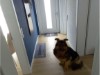 Bild 16