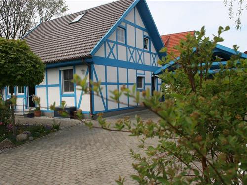 Holiday Home/Apartment - 4 persons -  - Birkmaase - 18374 - Seeheilbad Zingst