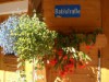 Billede 7