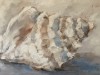 Bild 21