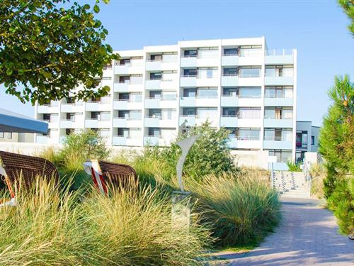 Holiday apartment - 3 persons -  - Seestraße - 23747 - Dahme