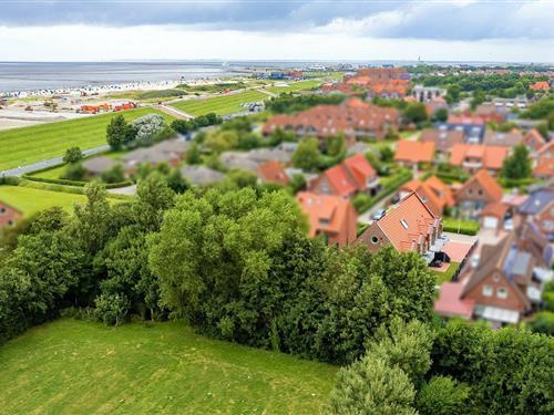 Holiday apartment - 4 persons -  - Fledderweg - 26506 - Norden - Norddeich