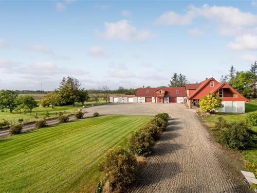 Sommerhus - 10 personer -  - Røjgårdvej - Bovbjerg - 7660 - Bækmarksbro