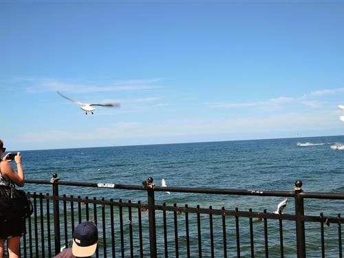 Semesterlägenhet - 2 personer -  - 72500 - Miedzyzdroje