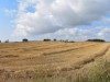 Image 29