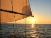 Billede 42