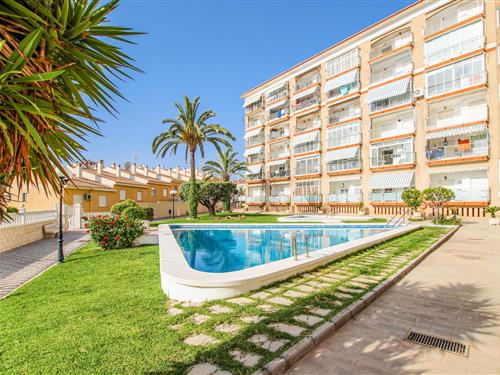 Holiday apartment - 4 persons -  - Mirador De Mar - 03195 - Arenales Del Sol