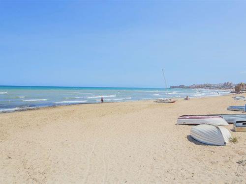Holiday apartment - 4 persons -  - 03188 - La Mata