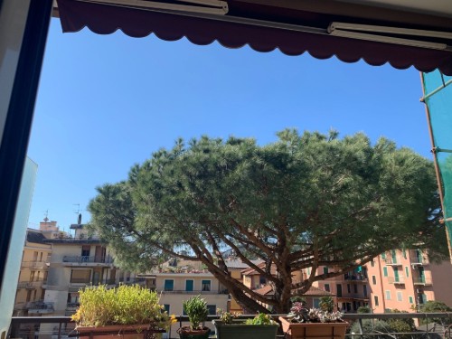 Holiday apartment - 4 persons -  - 16035 - Rapallo