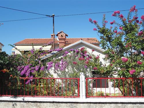 Ferienwohnung - 5 Personen -  - 52100 - Pomer