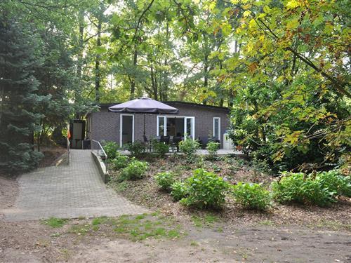 Holiday home - 4 persons -  - 5595GL - Leende